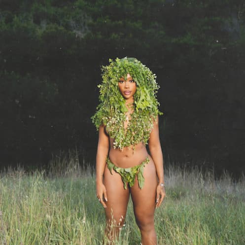 Album Cover of SZA